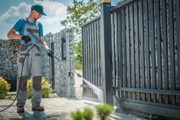 Best Roof Washing  in Du Quoin, IL