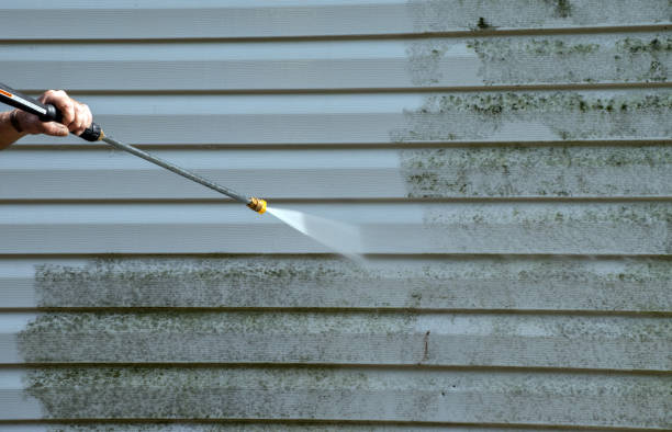 Best Fence Cleaning  in Du Quoin, IL
